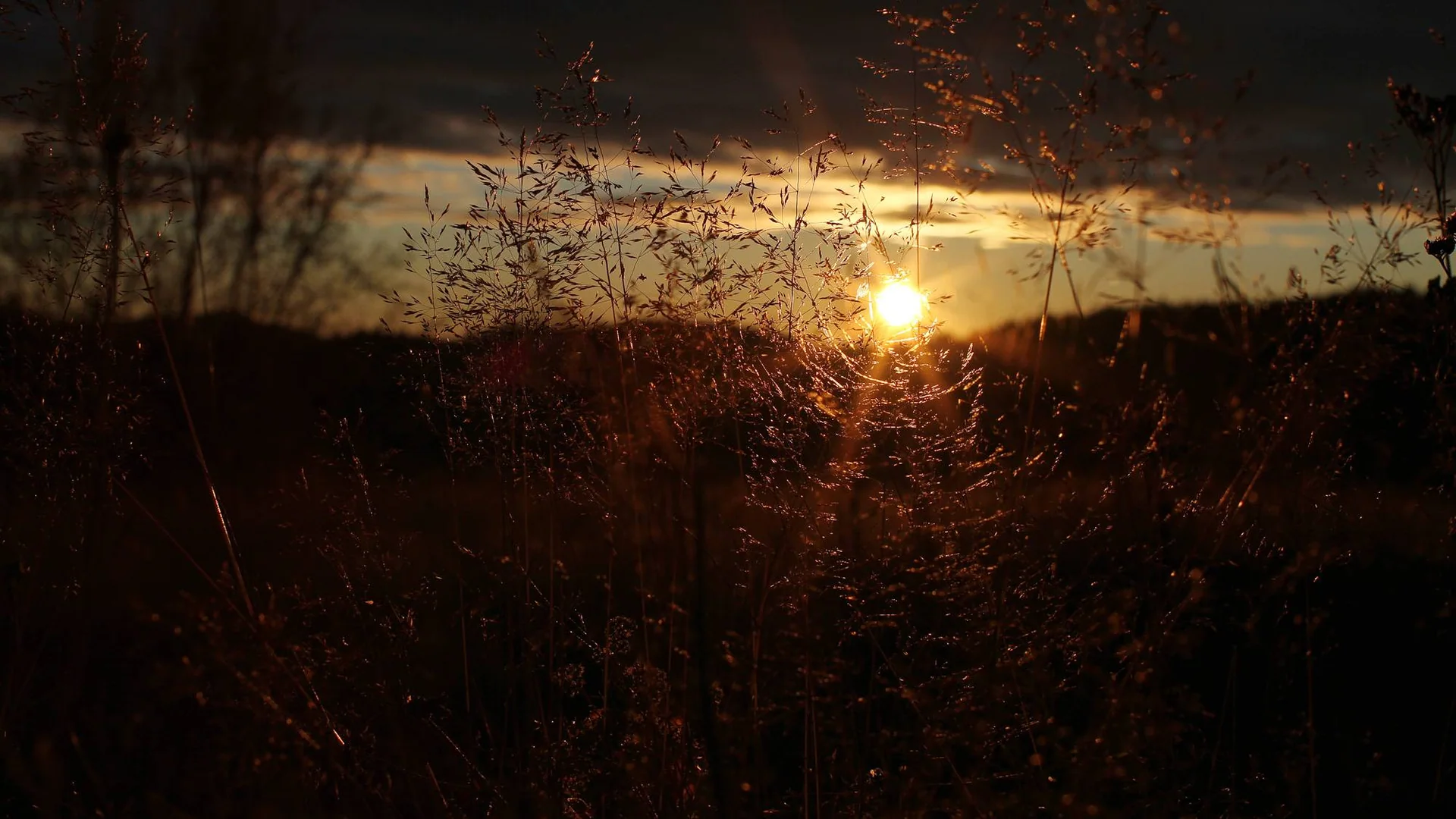Solen går ned bak silhuetter av trær og åser.