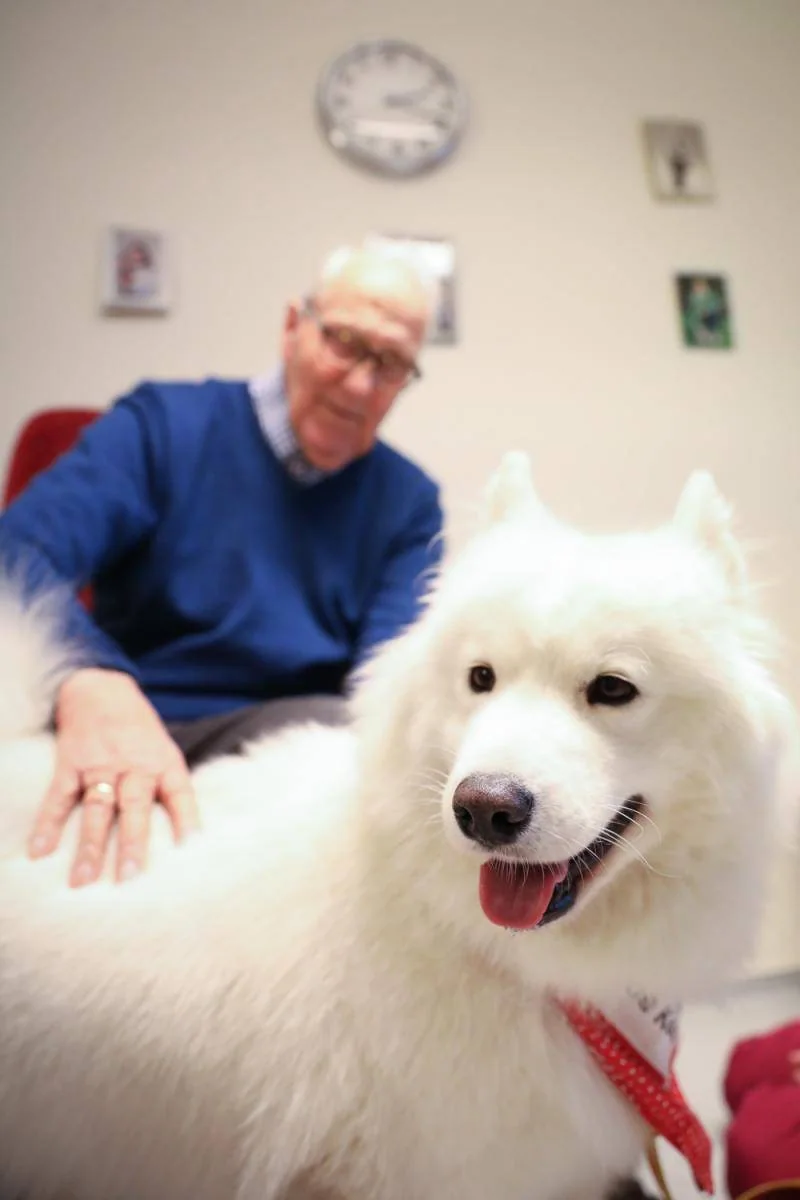En eldre mann klapper en stor, hvit hund med rødt tørkle.