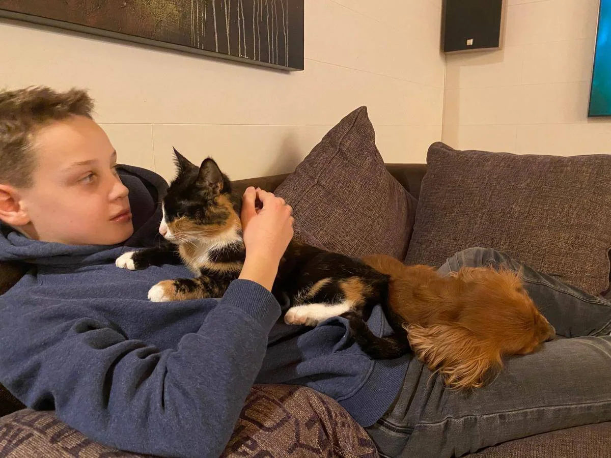 En gutt ligger på en sofa med en katt og en liten brun hund.