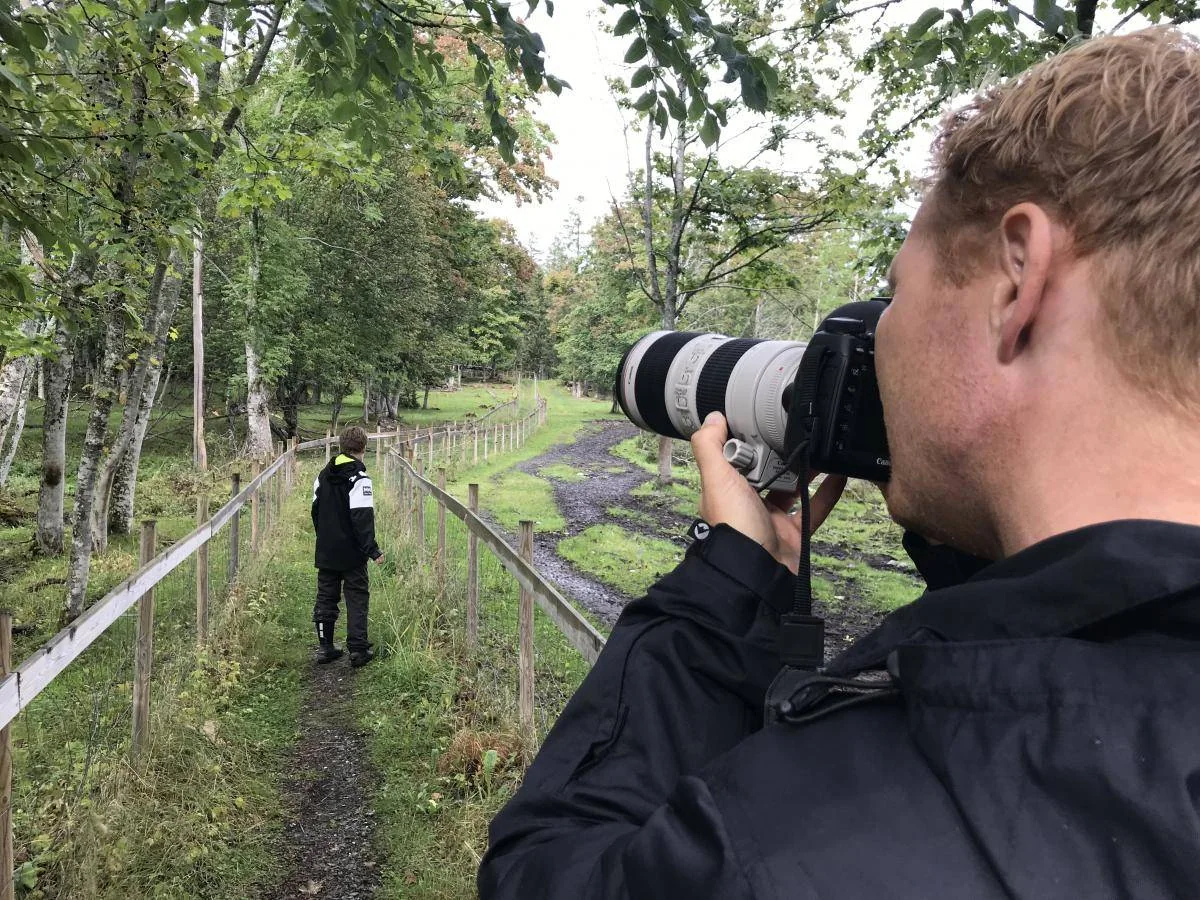 En fotograf arbeider langs en inngjerdet sti mellom trær.