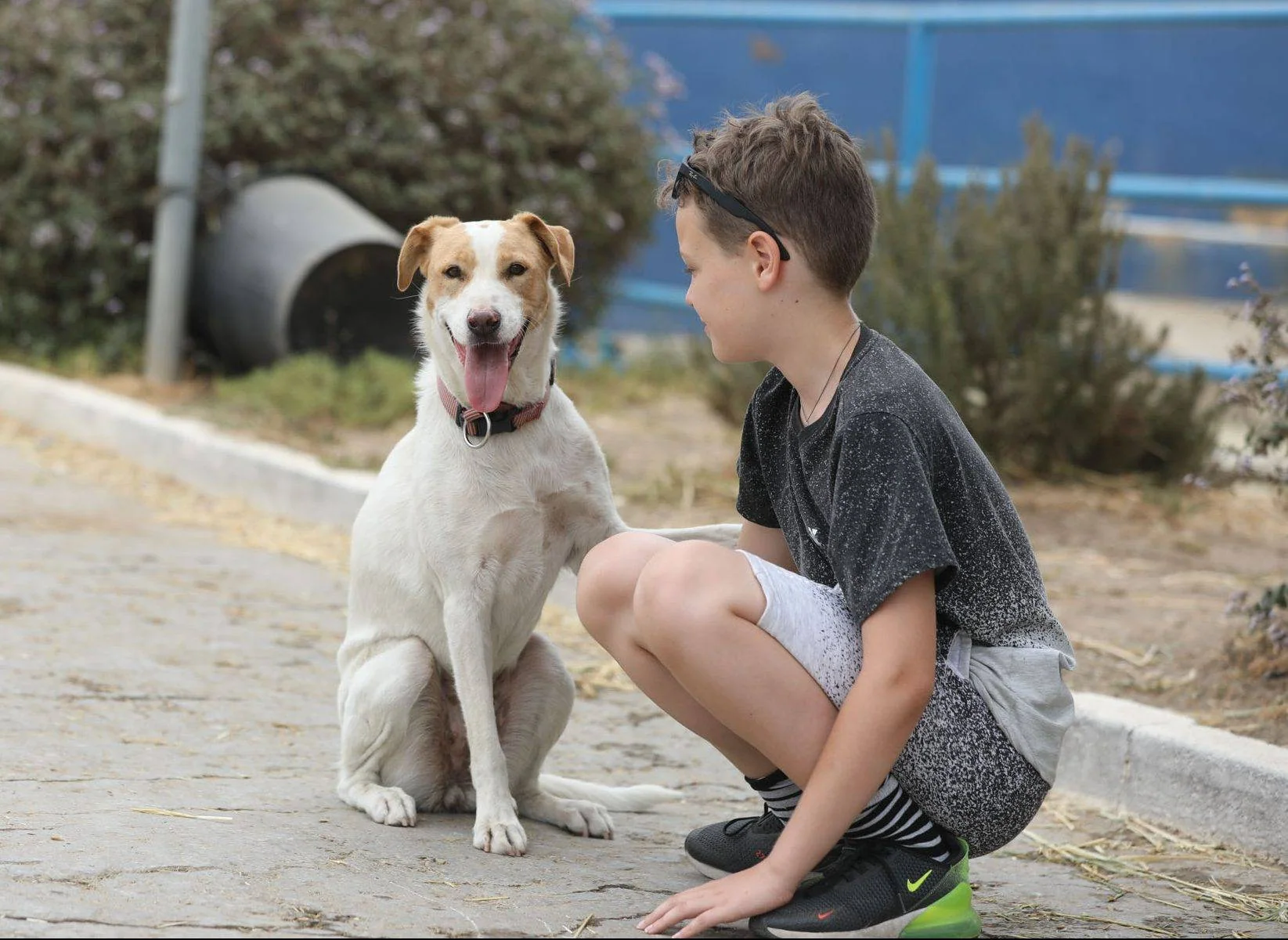 Et barn sitter på huk ved siden av en hvit og brun hund.