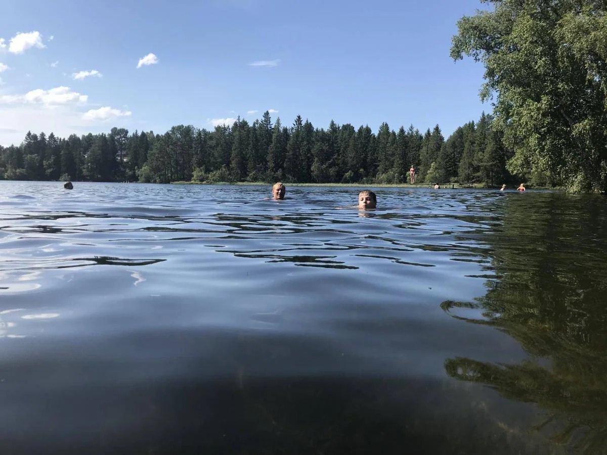 Mennesker bader i en innsjø omgitt av skog på en solrik dag.