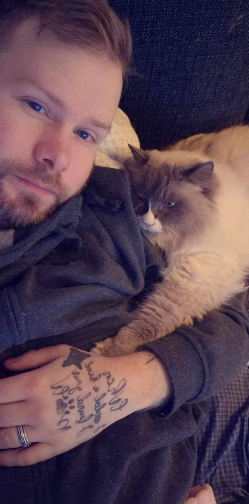 Robin Kattemannen sitter med en grå og hvit katt på skulderen.