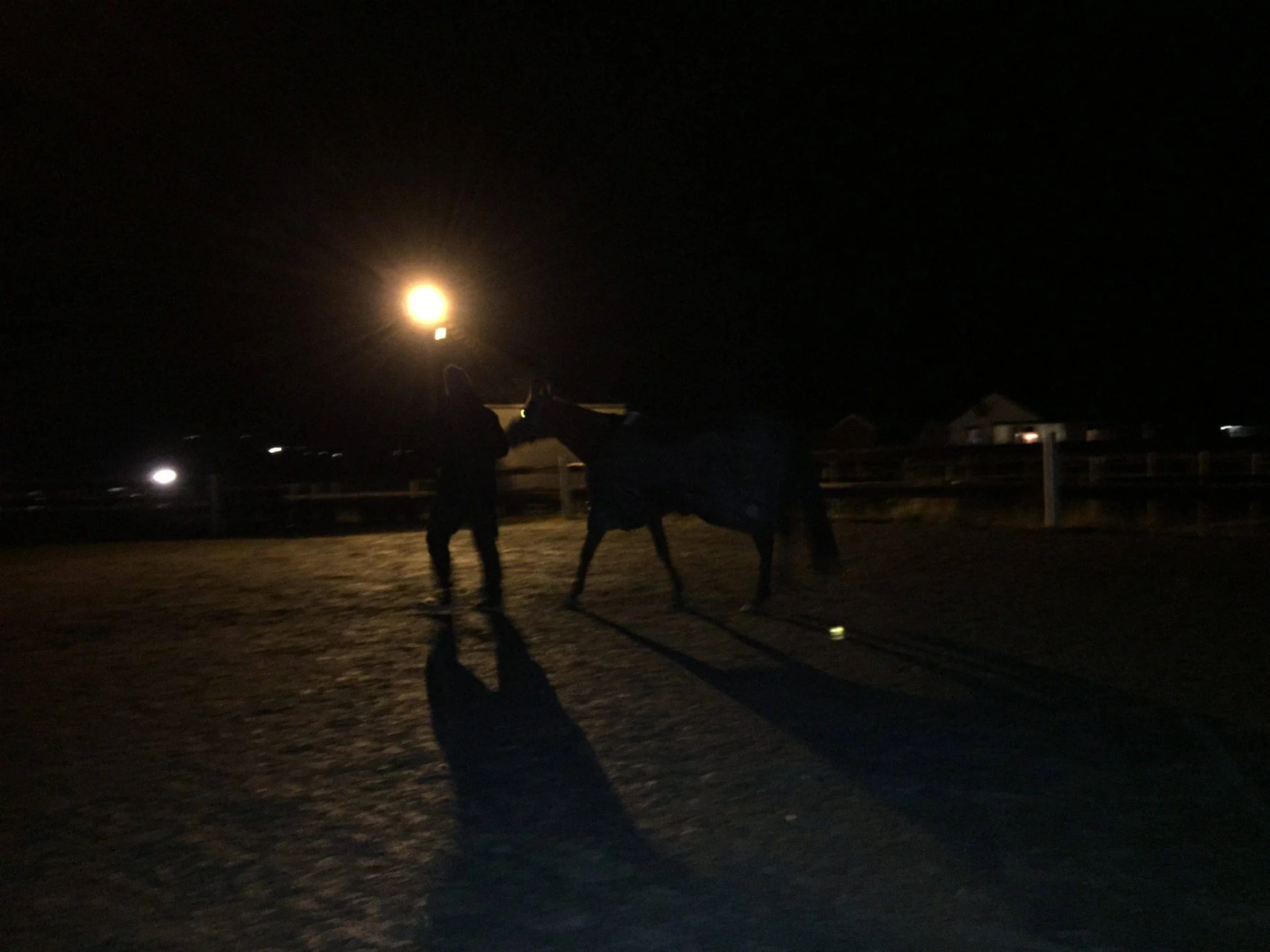 Silhuetter av en hest og et menneske i et mørkt landskap under lyset fra en lyktestolpe.