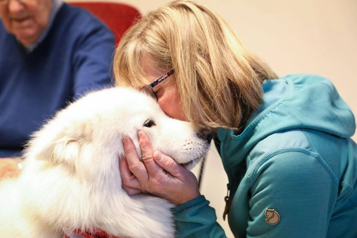 En kvinne kysser en hvit hund på hodet.