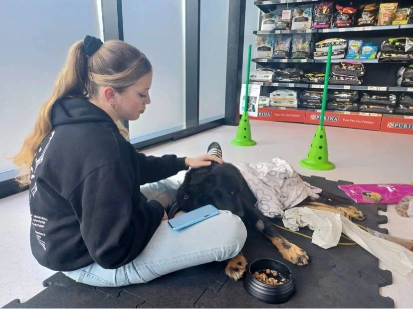 En kvinne sitter på gulvet ved en hund i en dyrebutikk.