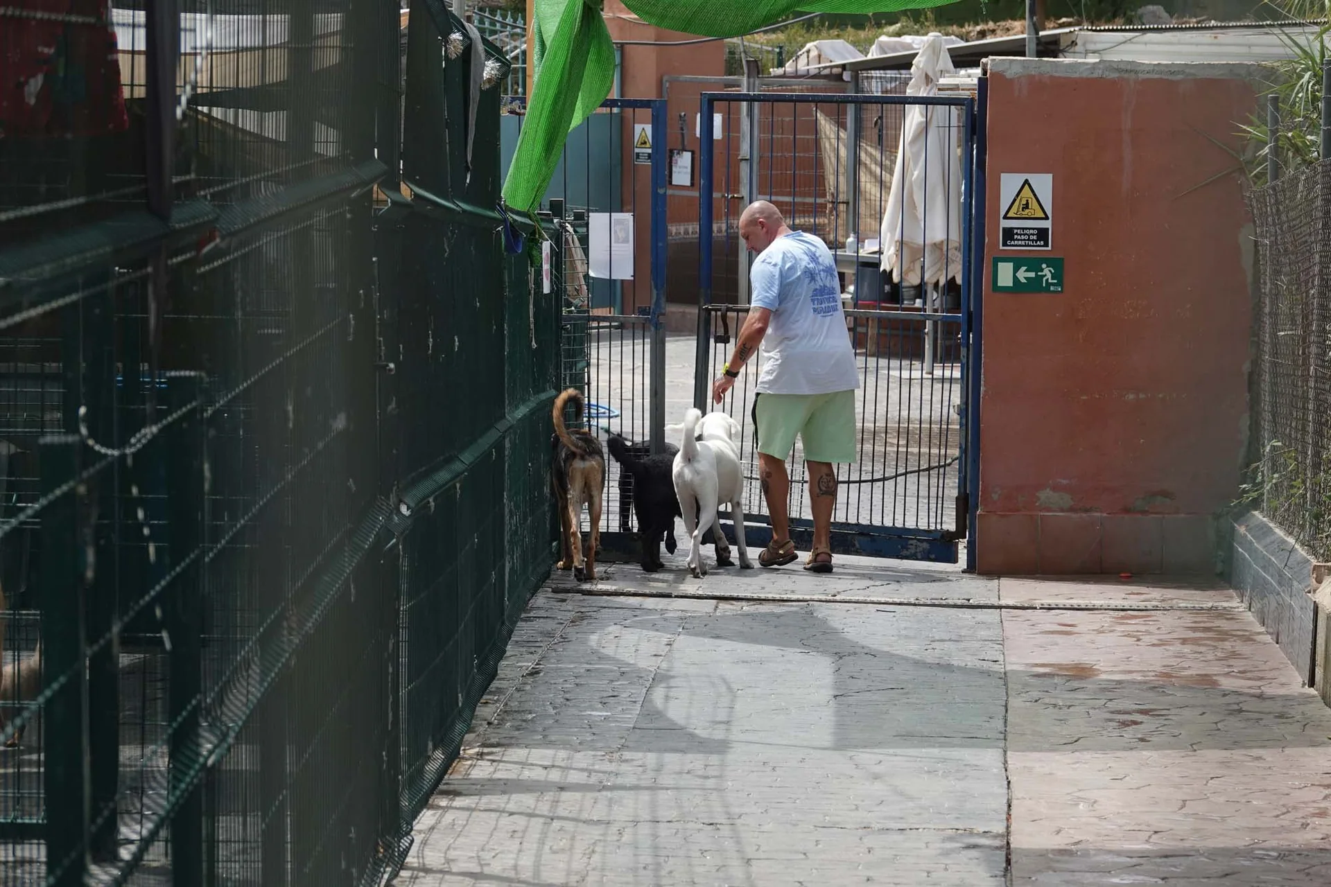 En mann og tre hunder står foran en port i kennelen til Animal Care España