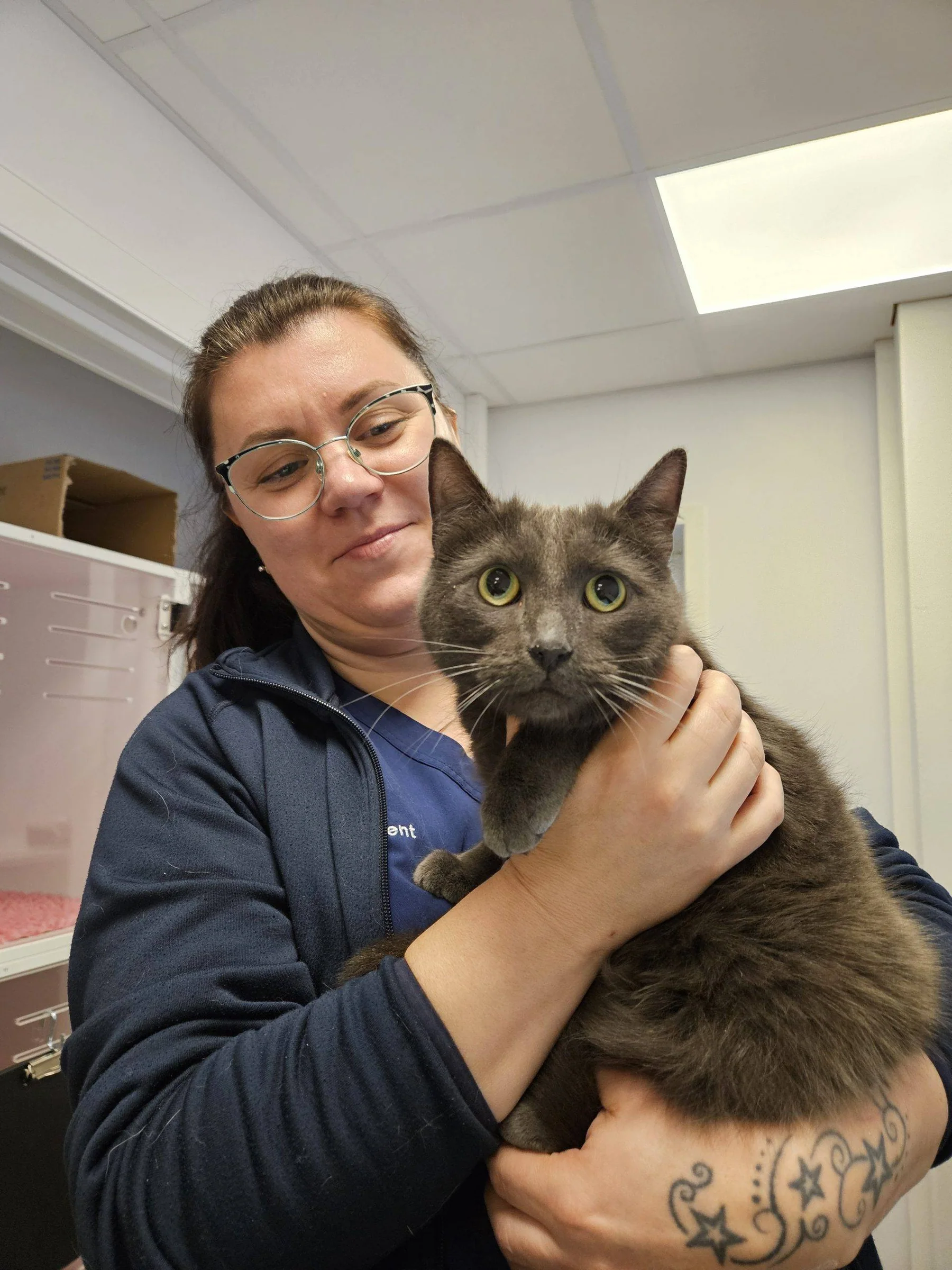 Assistent Lisa på Anicura dyresykehus holder katten Aske.