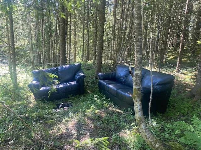 Sofa som er satt igjen i skogen.