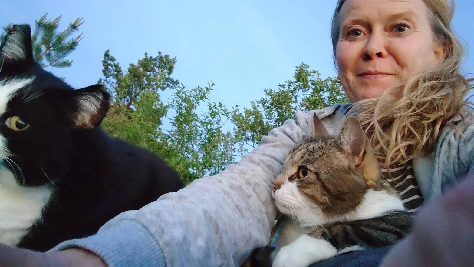 Hege Margrethe Stenberg med katten Timmi, som er grå og hvit, på fanget. Mio, svart og hvit katt ved siden av,