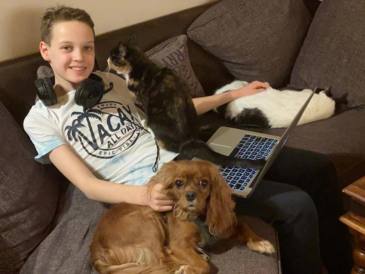 Et barn sitter i sofaen med en hund, to katter og en bærbar datamaskin.