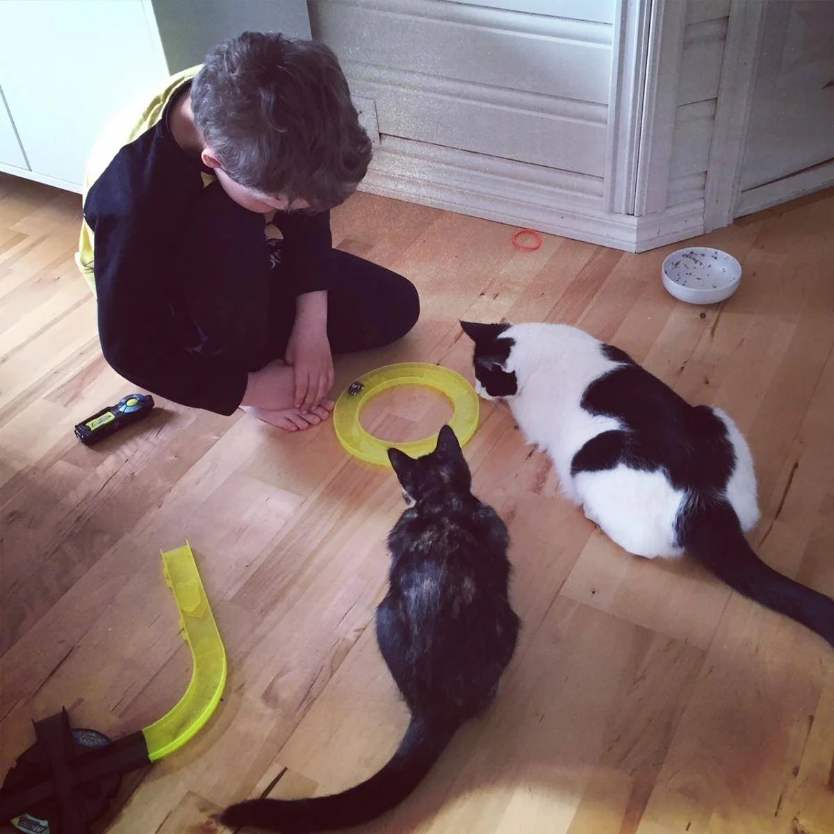 Et barn leker med to katter og en ballbane på gulvet.