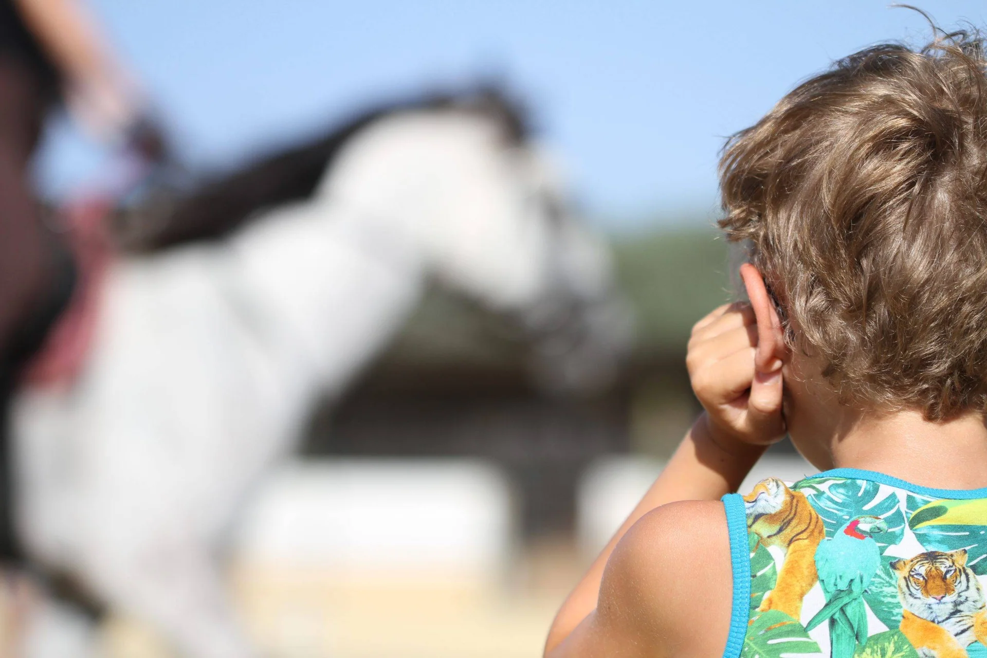 Et barn holder hendene ved kinnene med en hest i bakgrunnen.