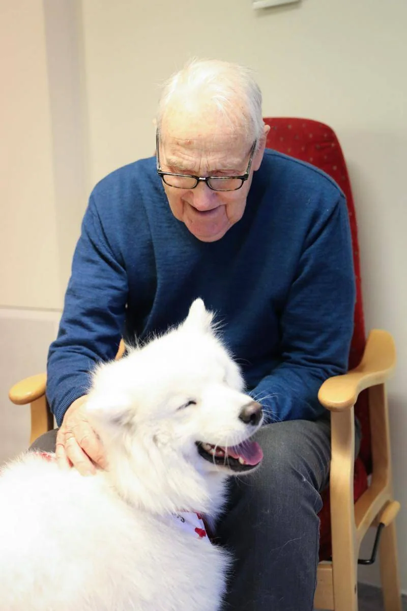 En mann sitter i en rød stol og klapper en hvit hund som står ved knærne hans.