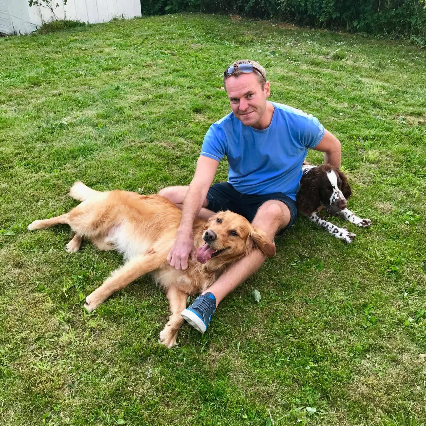 En mann sitter på en plen og klapper en stor, lys hund, med en annen hund bak seg.