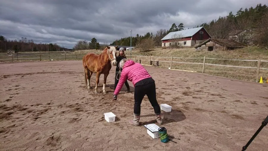 En kvinne i rosa jakke peker på en hvit bøtte med lokk. Foran henne står en brun hest, og en dame som holder hesten.