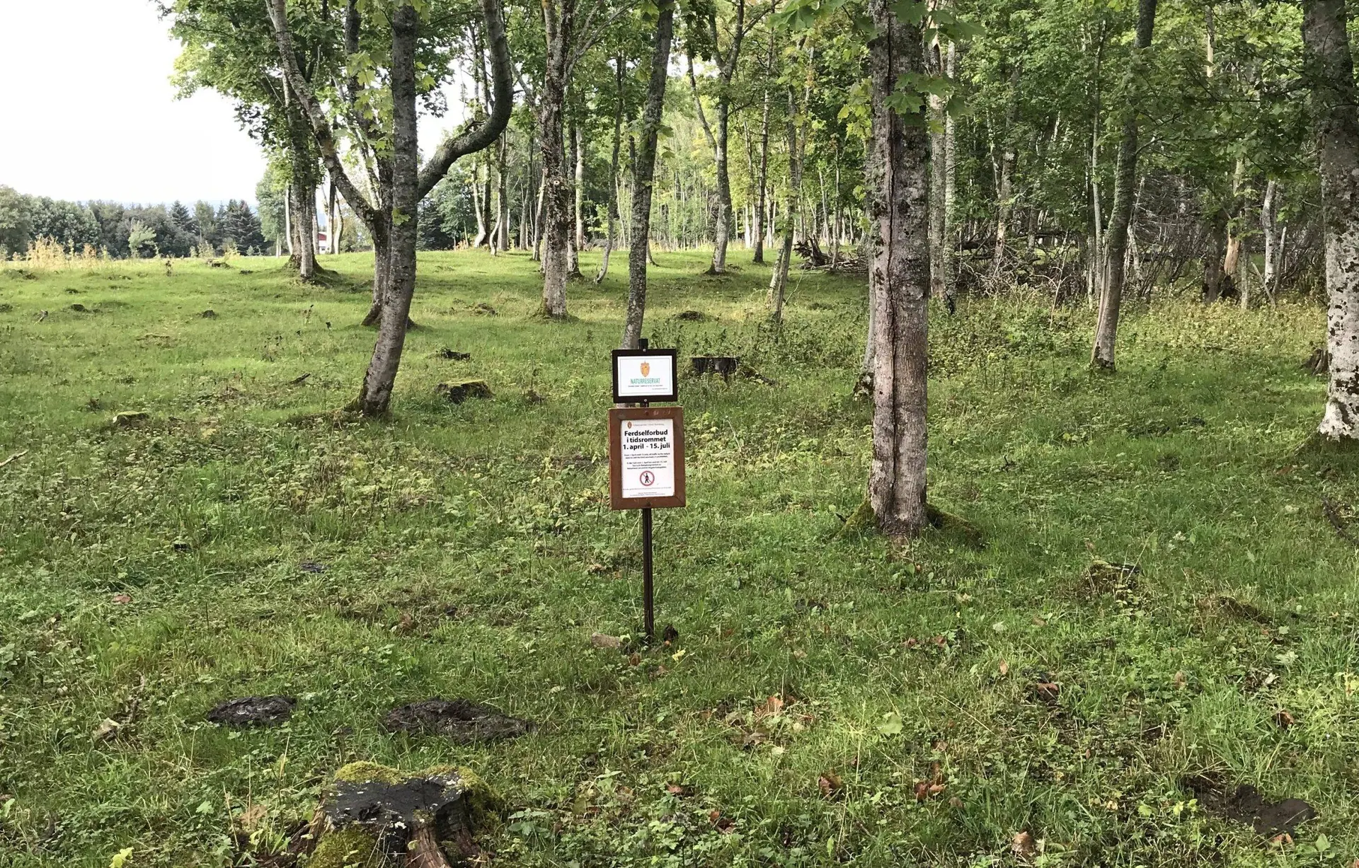 Et lite skilt med innskriften Naturreservat står blant trær og gress.