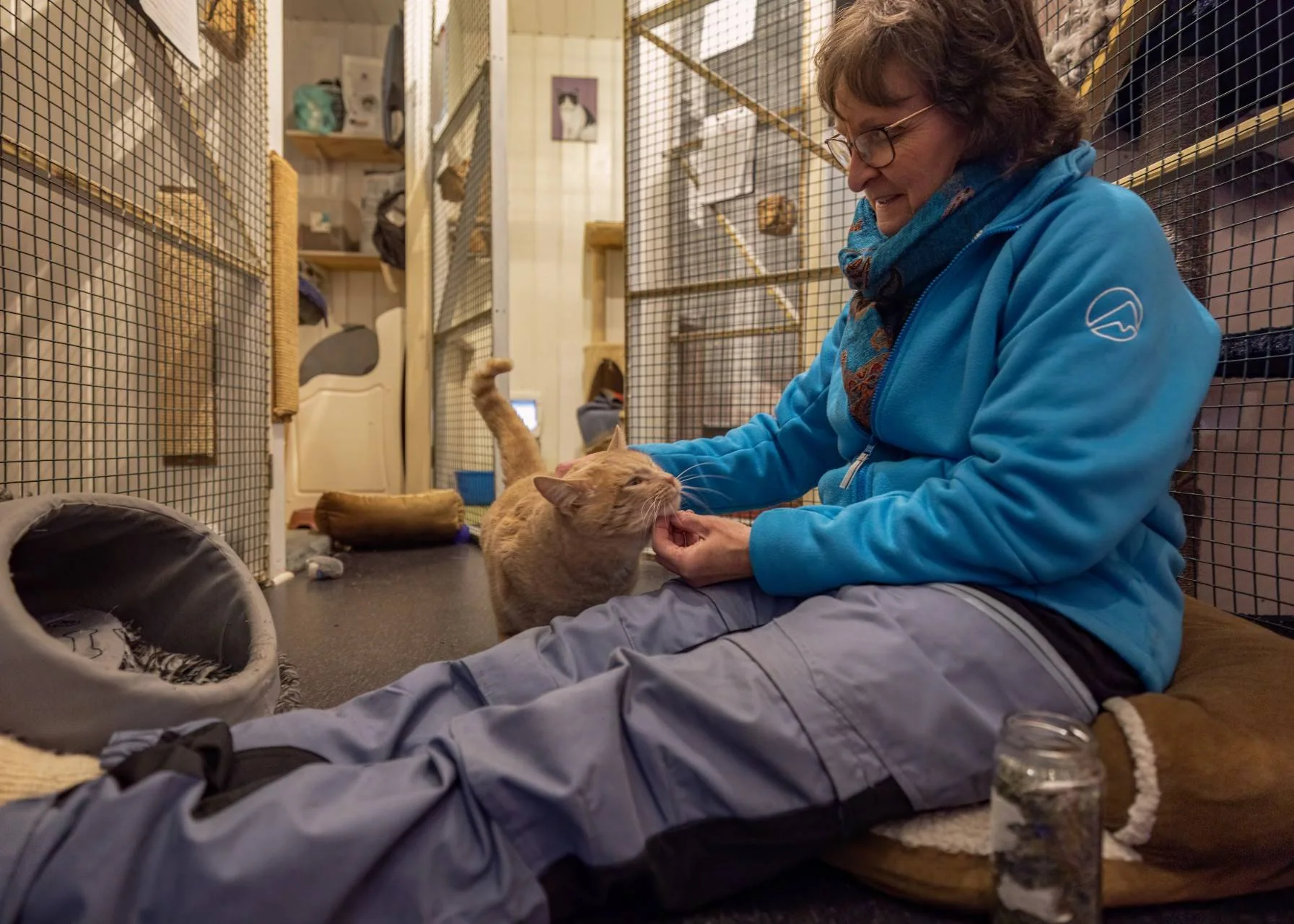 En kvinne sitter på gulvet og klapper en katt i en innhegning.