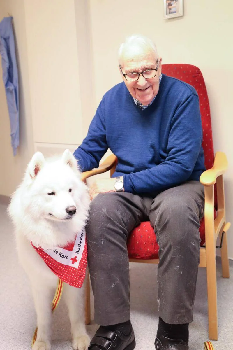 En mann sitter i en stol med en hvit hund med rødt tørkle ved siden av.