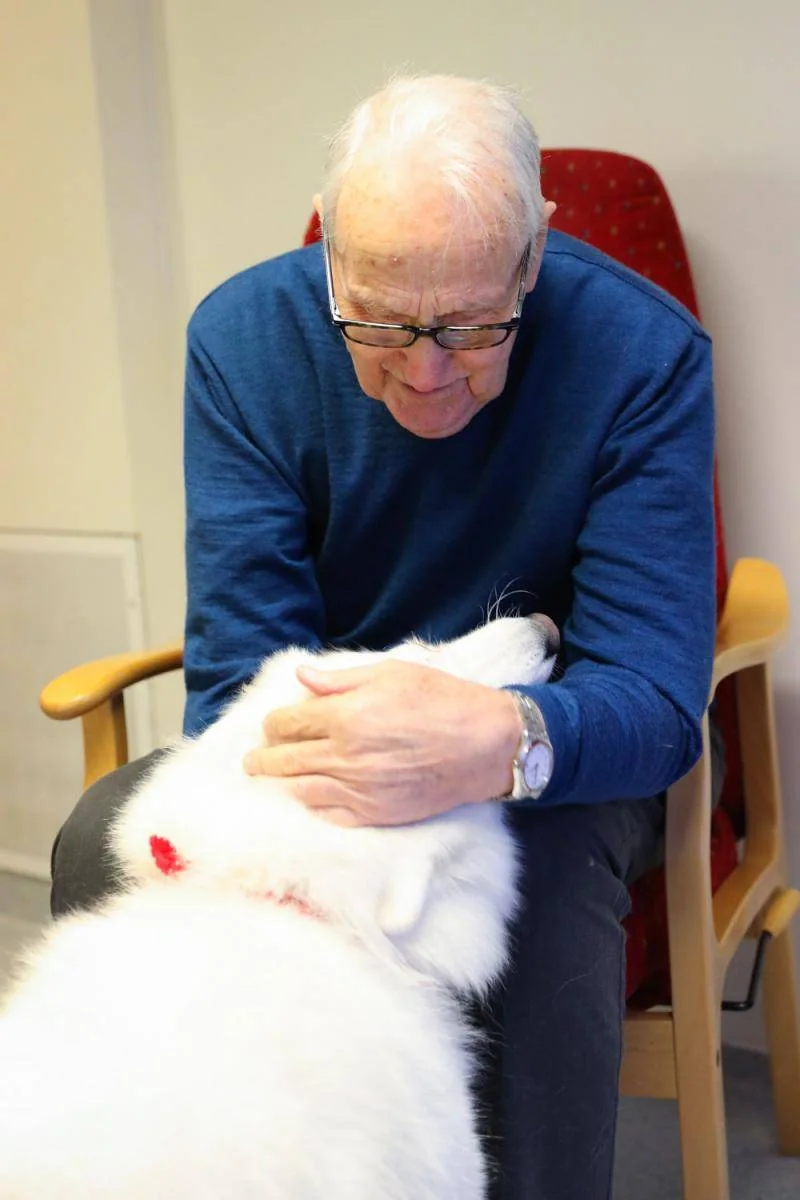 En mann bøyer seg fram i stolen og klapper en hvit hund på hodet.
