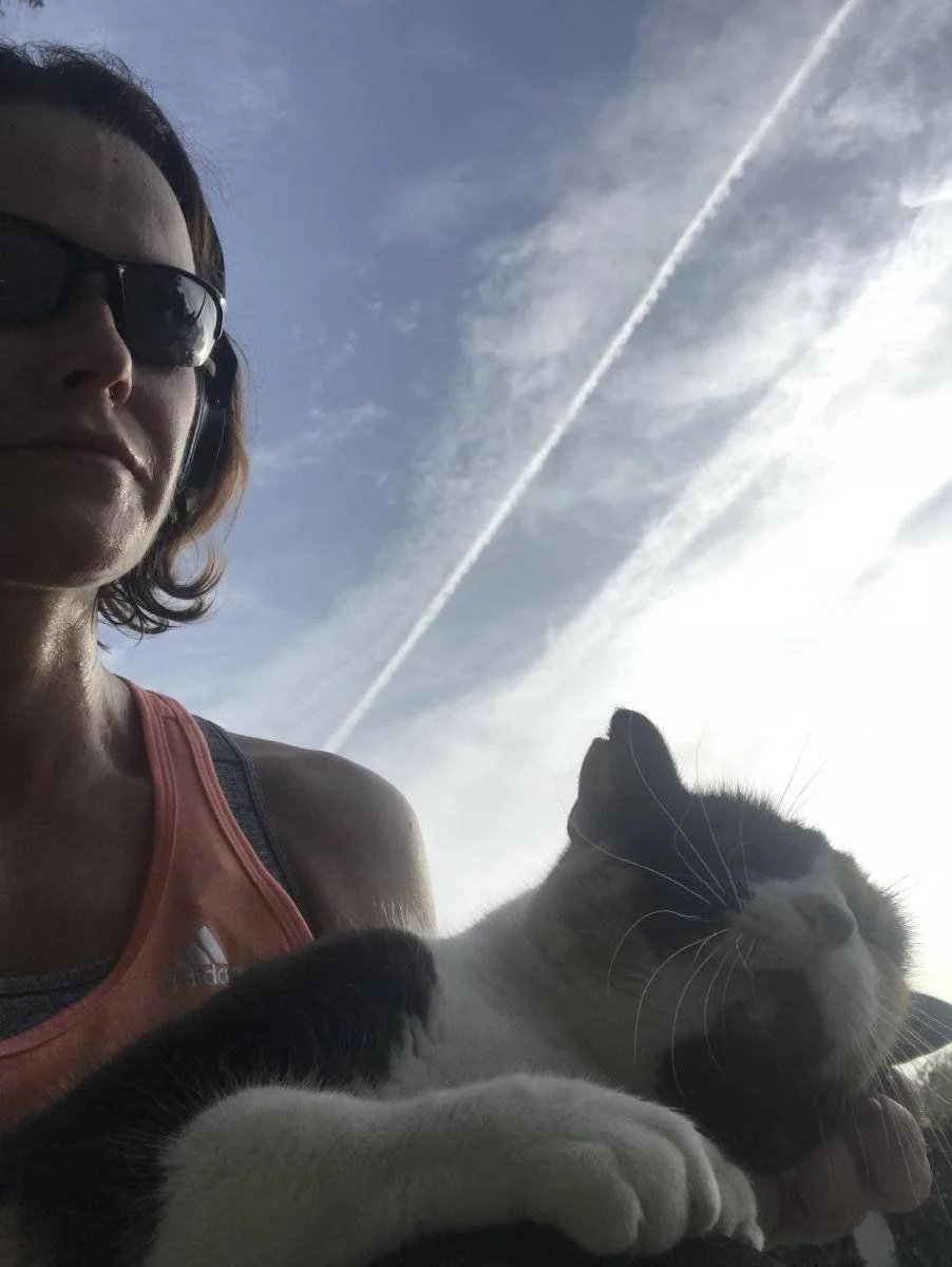 En person med solbriller holder en katt ute i motlys.