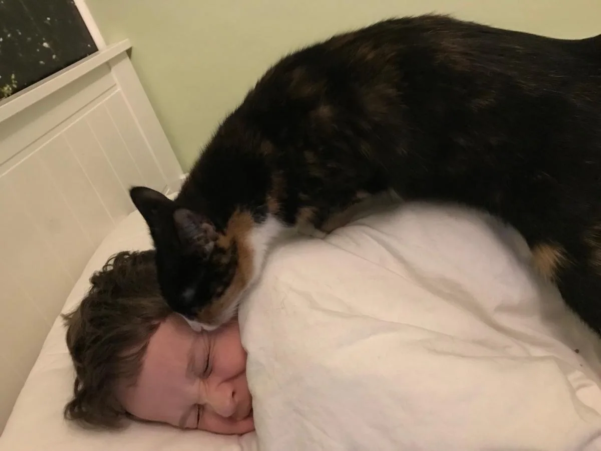 En katt ligger over hodet til et barn under en dyne.