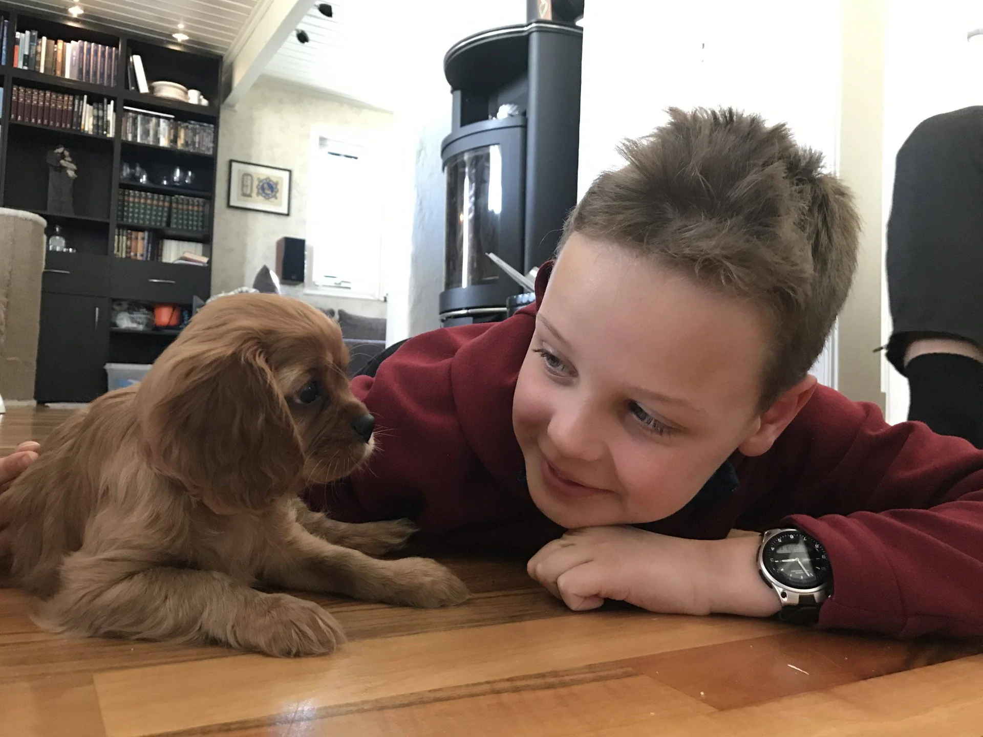 Et barn ligger på gulvet ansikt til ansikt med en liten, brun hund.