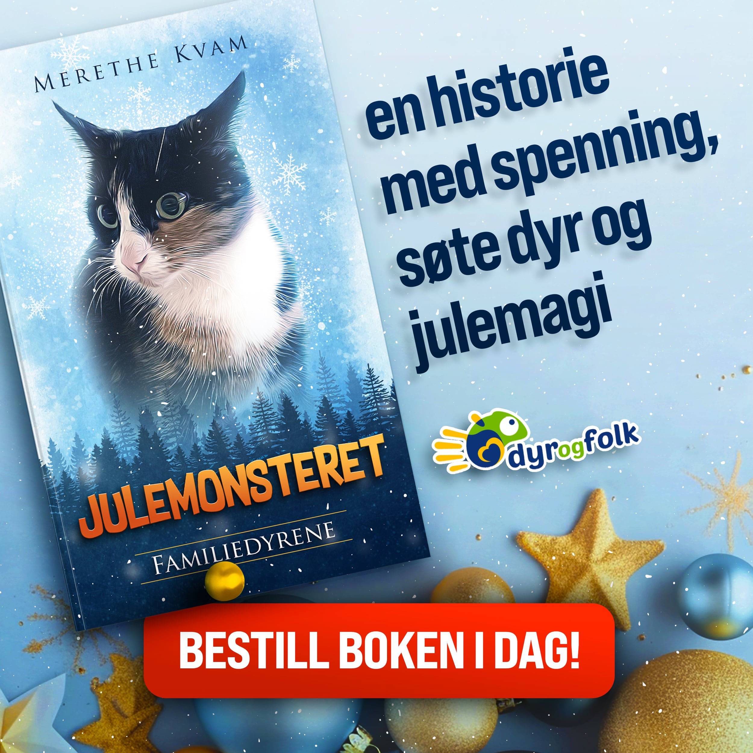 Annonse med bilde av boken Julemonsteret