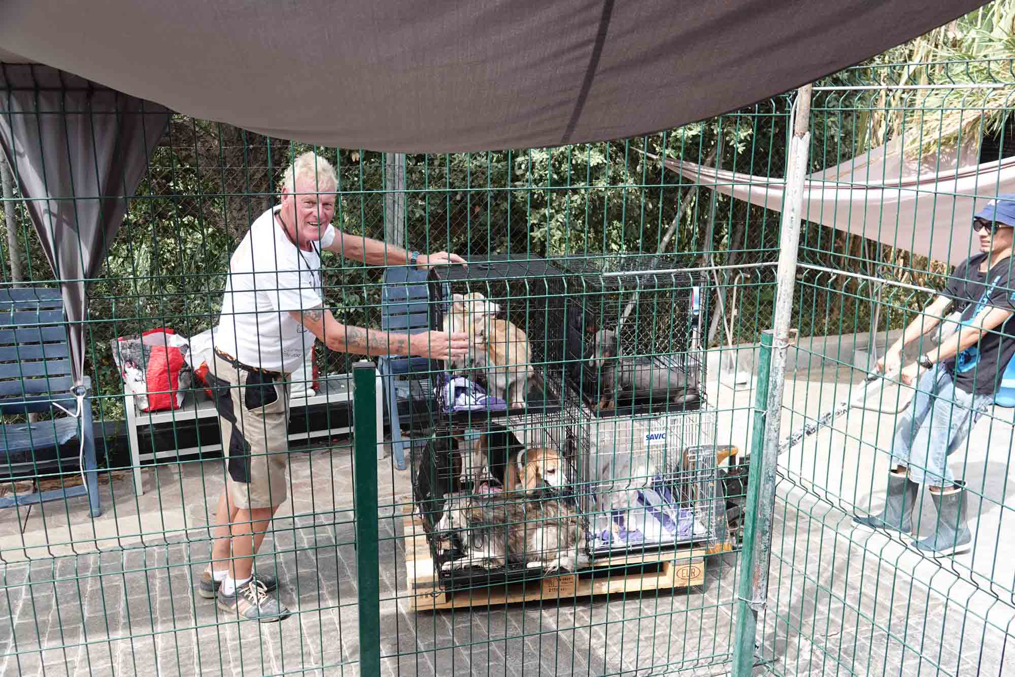 To personer som triller en palle med hunder i bur ved kennelen til Animal Care España.