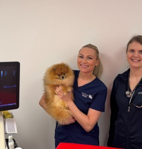 Camilla Kristoffersen og Ine Sund står ved siden av en ultralysmaskin på dyreklinikken. Kristoffersen holder en pomeranier i armene.