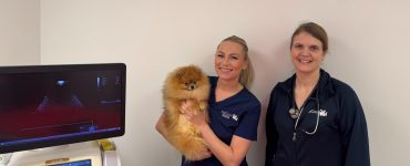 Camilla Kristoffersen og Ine Sund står ved siden av en ultralysmaskin på dyreklinikken. Kristoffersen holder en pomeranier i armene.