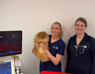 Camilla Kristoffersen og Ine Sund står ved siden av en ultralysmaskin på dyreklinikken. Kristoffersen holder en pomeranier i armene.