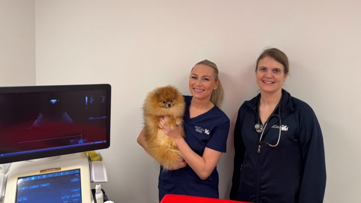 Camilla Kristoffersen og Ine Sund står ved siden av en ultralysmaskin på dyreklinikken. Kristoffersen holder en pomeranier i armene.