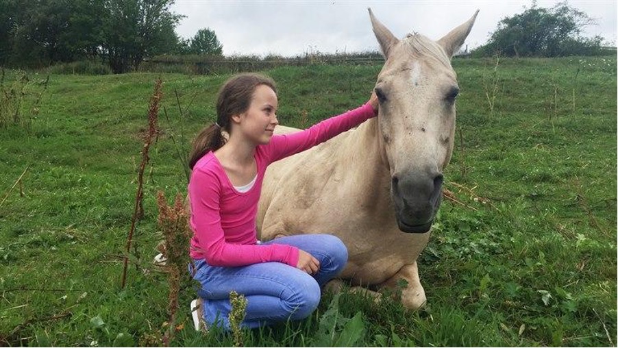 Ing jente i rosa genser som sitter ved siden av en hest som ligger på en grønn eng.