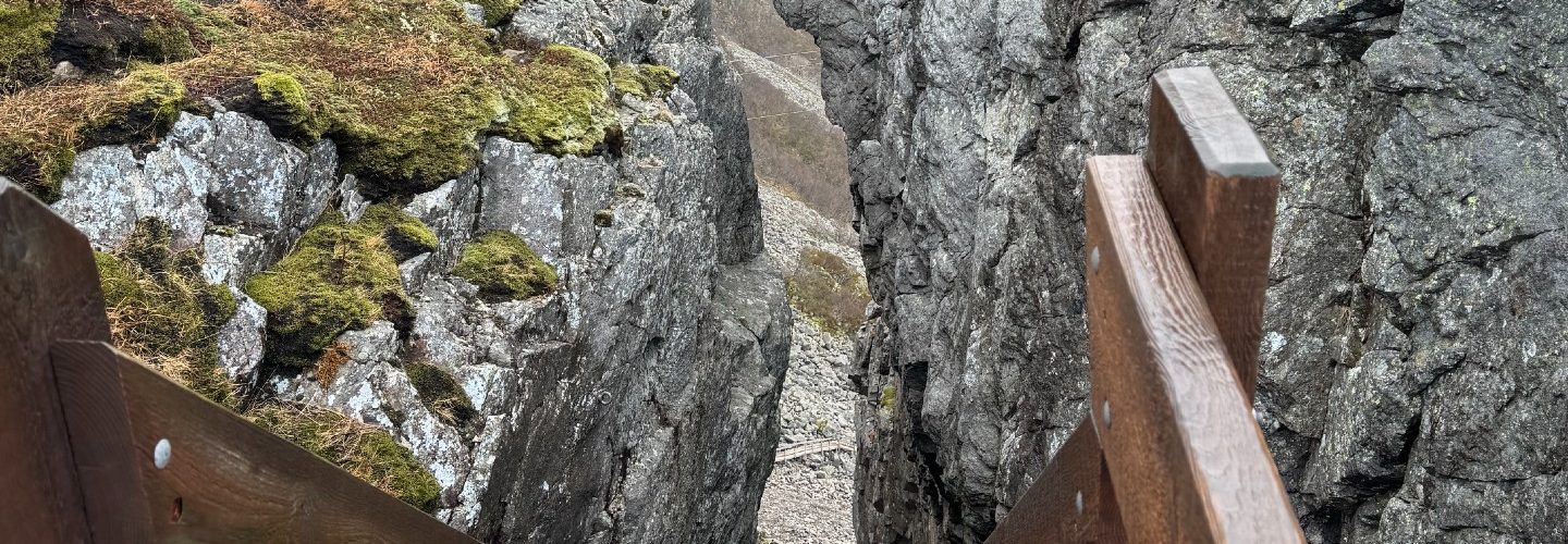 Bratt tretapp som fører ned en fjellside.