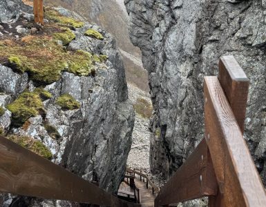 Bratt trapp - Dyr og folk Bratt tretapp som fører ned en fjellside.