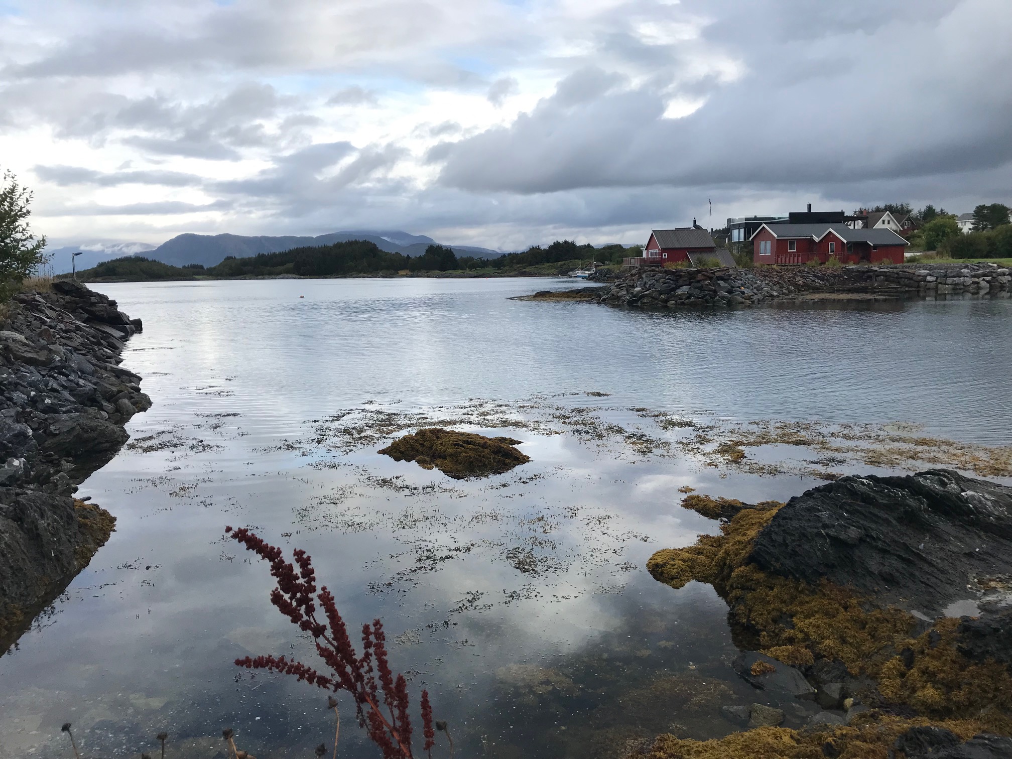 Strand og sjø med naust i bakgrunnen.
